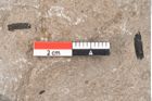 Foto (Detailansicht) von Plantae indet.  (NHMW-GEO-2024-0188-6685)